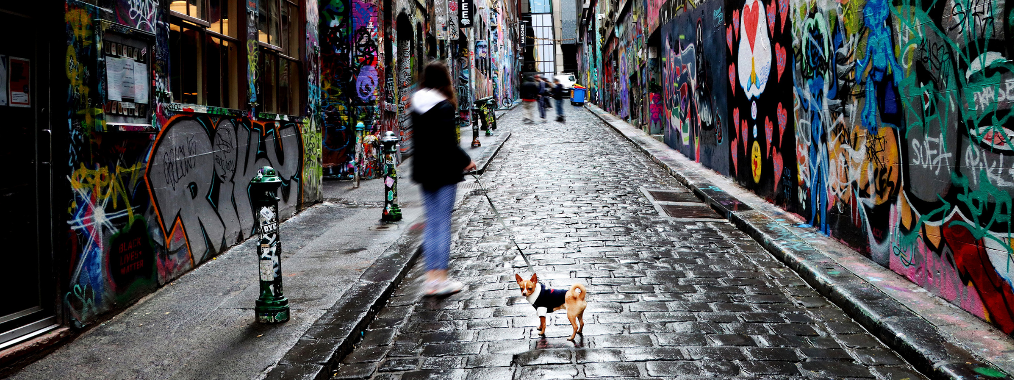 Dog-Friendly Melbourne Guide - maxbone