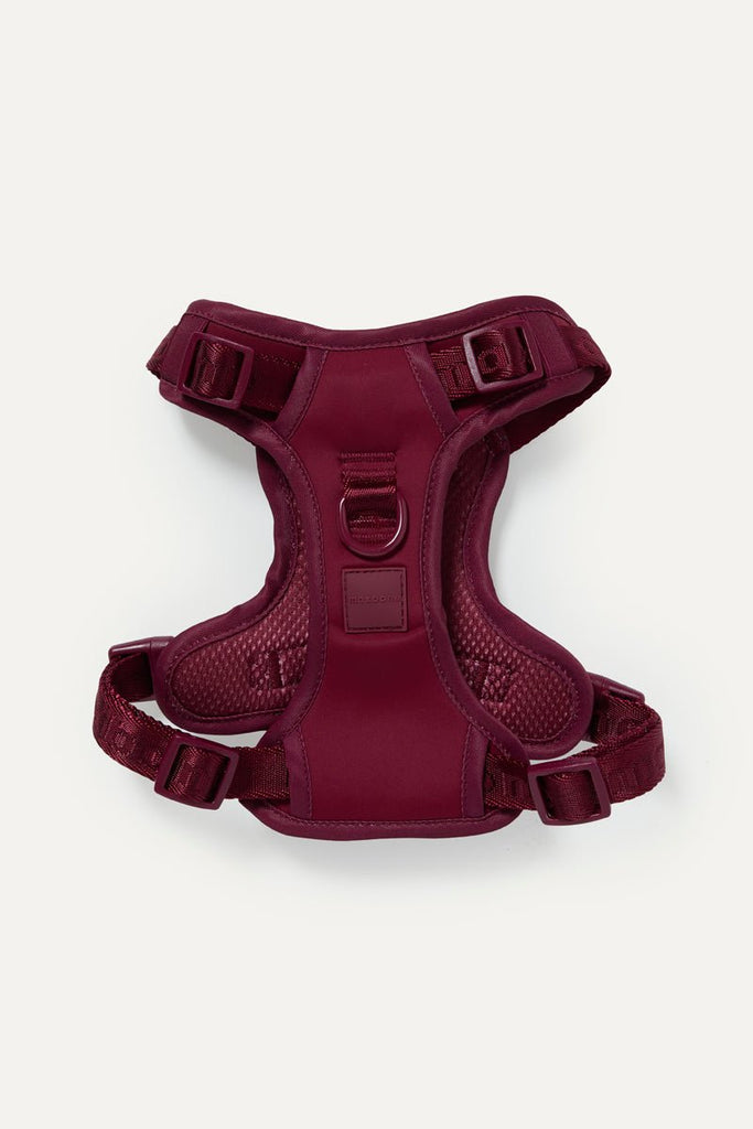 easy-fit-harness-
