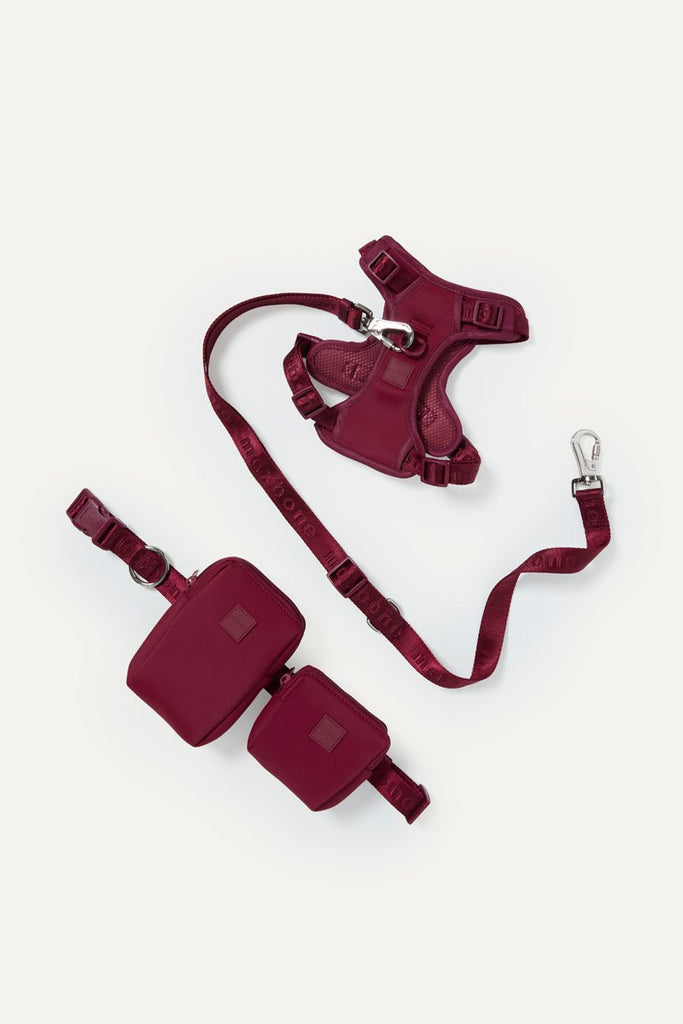 Go! With Ease Leash Bundle – maxbone