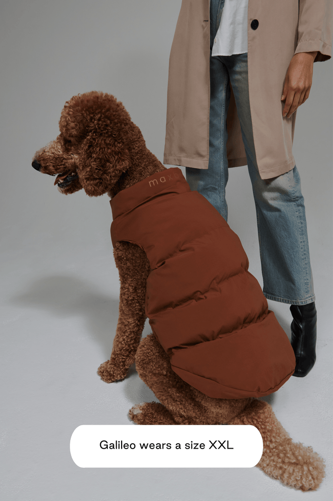 Dog Puffer Vest Sleeveless maxbone