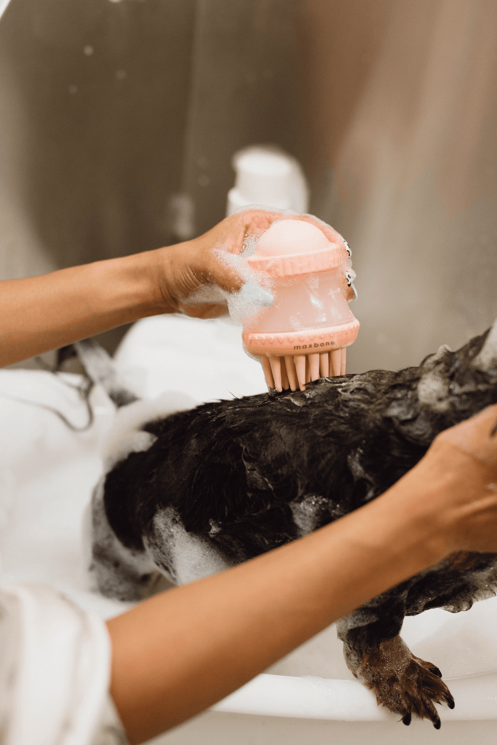 Deep Cleanse Shampoo Dispensing Brush - maxbone