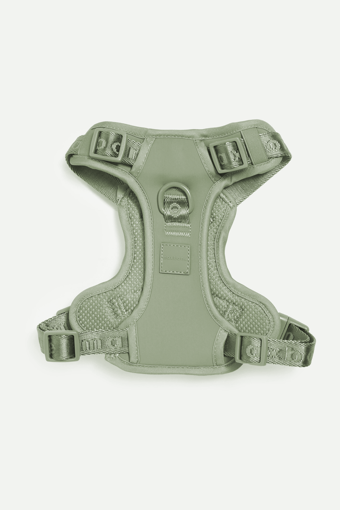 Easy Fit Harness – maxbone Easy Fit Harness – maxbone