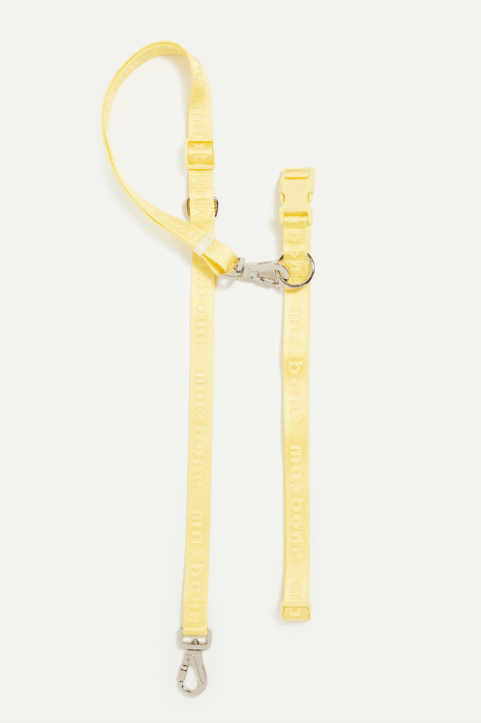 GO! With Ease Hands Free Leash maxbone