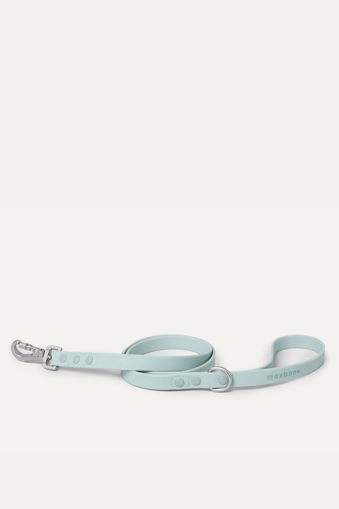 Waterproof Dog Leash Easy to Clean Peach Sand Charcoal color | maxbone