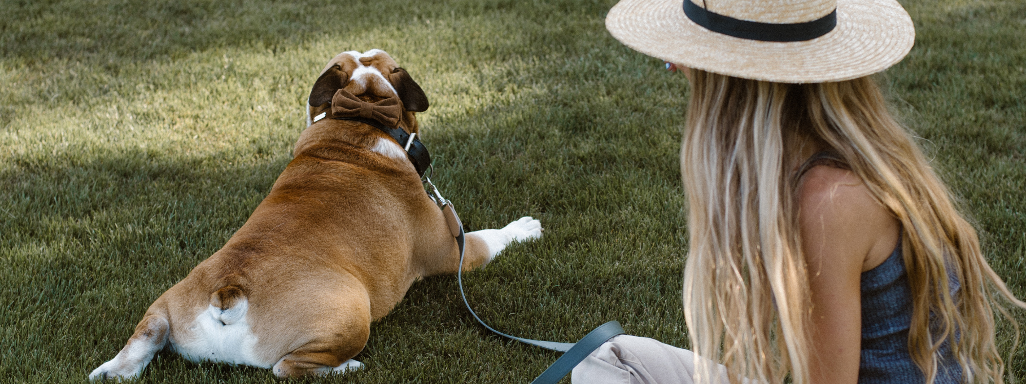 6 Tips to Make Your Dog Happier during Pet Appreciation Week - maxbone