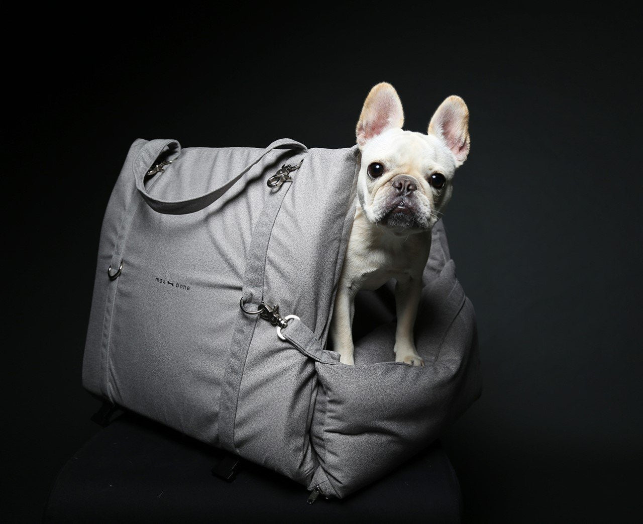 Back In Stock | maxbone