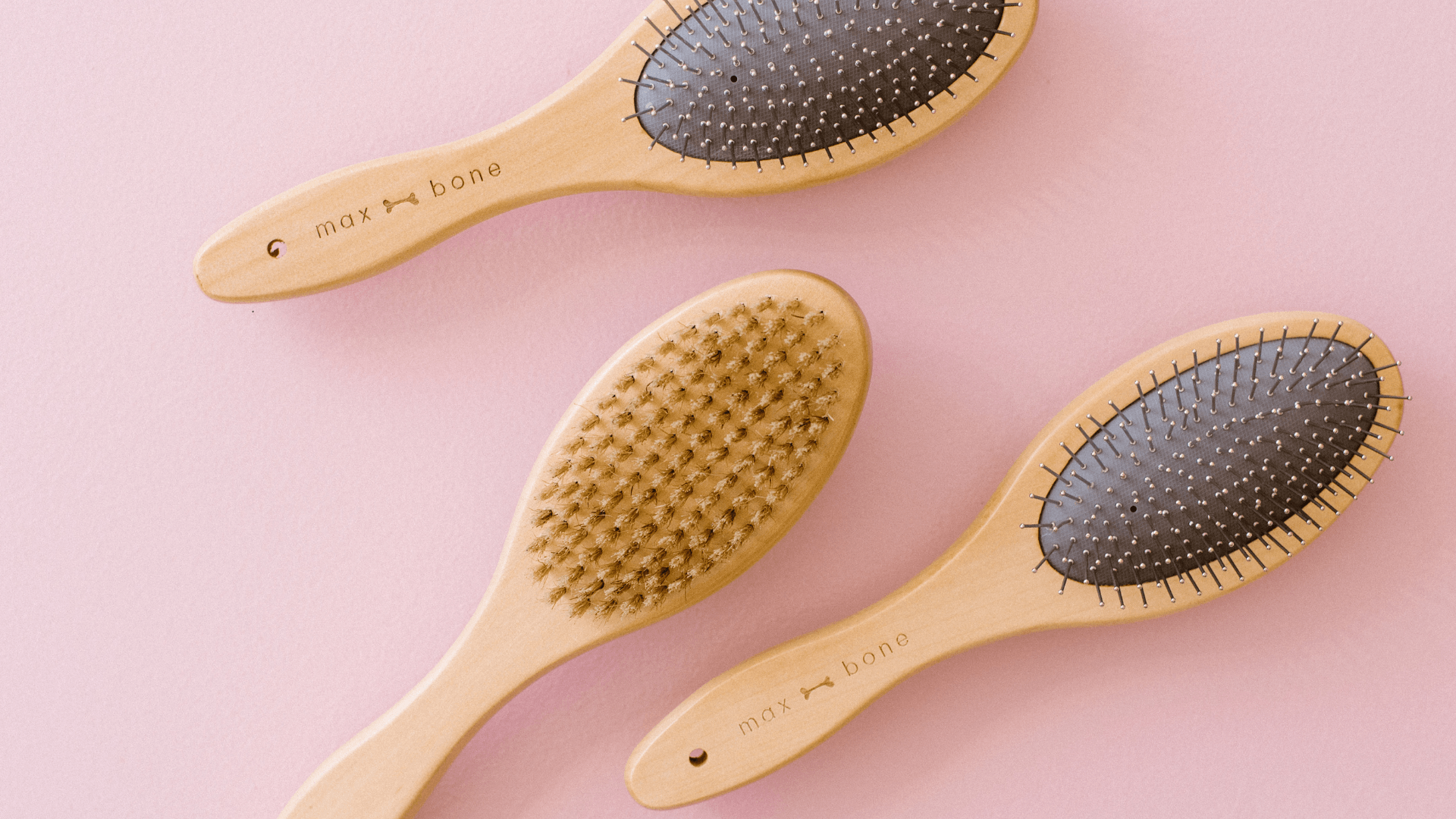 New favorites | maxbone