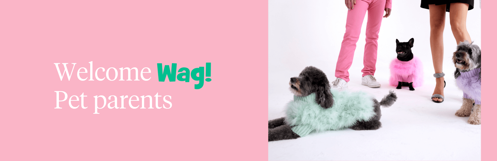 Wag Exclusive - maxbone