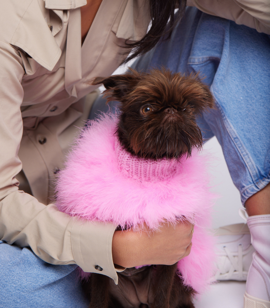 Christian Cowan Jumper maxbone