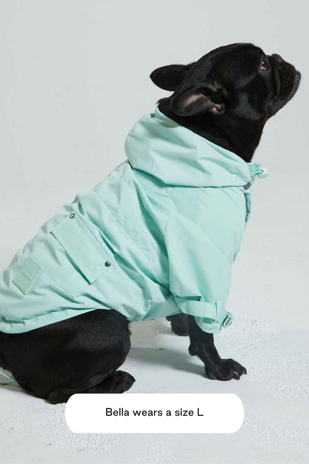 Bestselling Dog Raincoat Talon water repellant maxbone