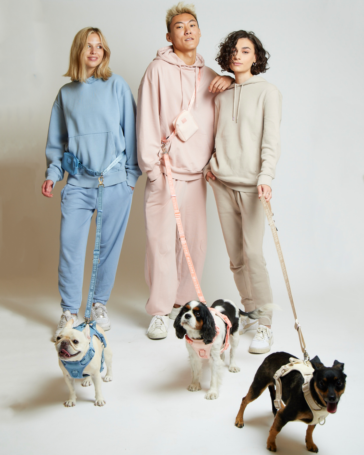 maxbone | Reimagining the pet industry