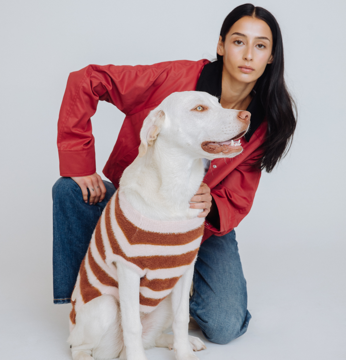 【最終価格】＊新品未使用＊犬用maxboneニット Amazon | max bone(マックスボーン) 犬服 ホエリー ロールネック