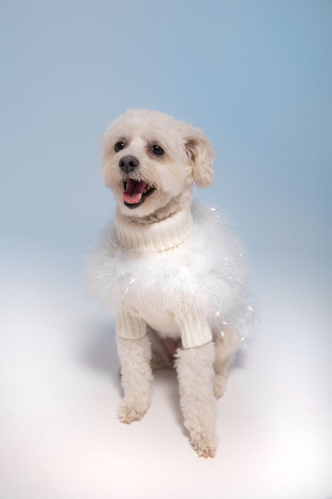 Christian Cowan Holiday Glitz Jumper – maxbone