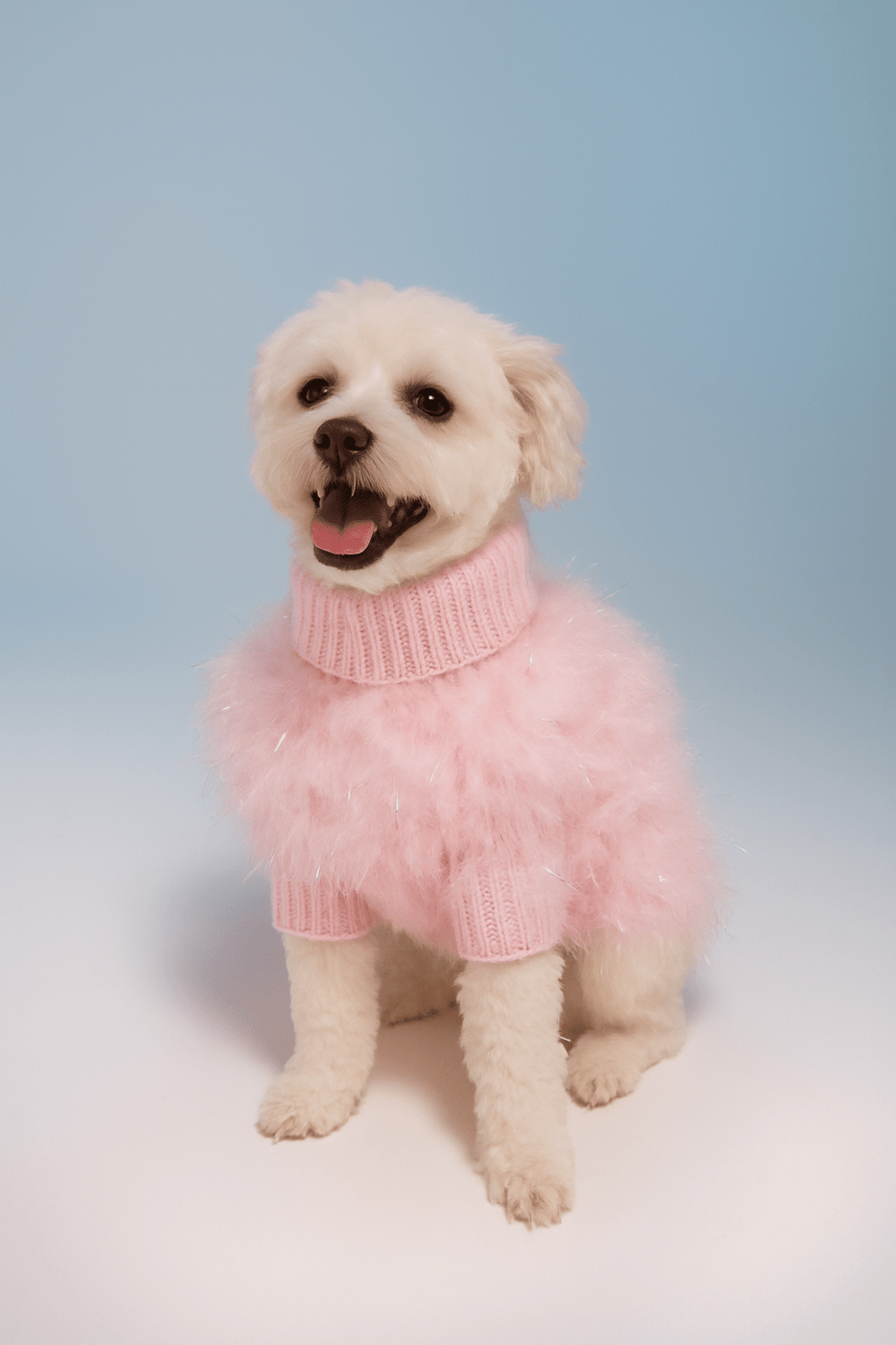 Christian Cowan Holiday Glitz Jumper – maxbone Christian Cowan Holiday Glitz Jumper – maxbone