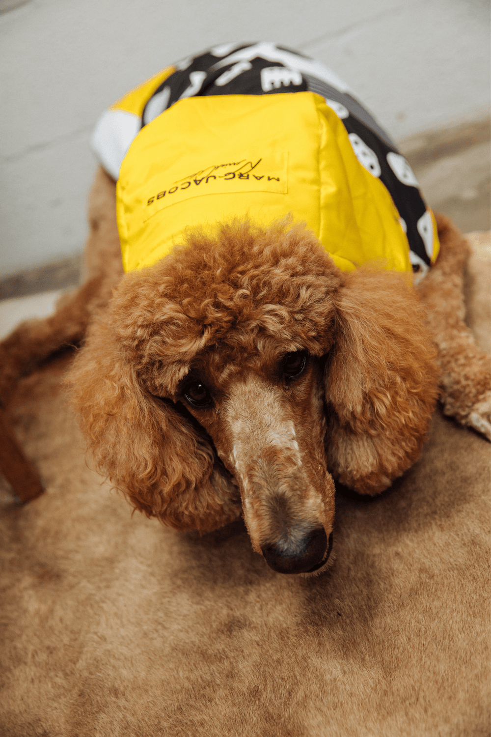 Derrick Adams x Marc Jacobs x maxbone Vest - maxbone