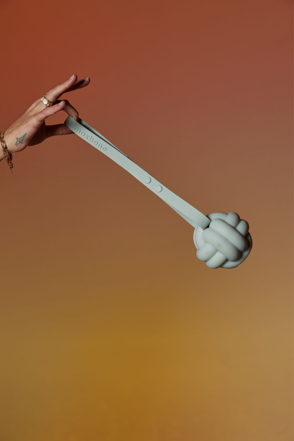 Enrichment Tether Toy - maxbone