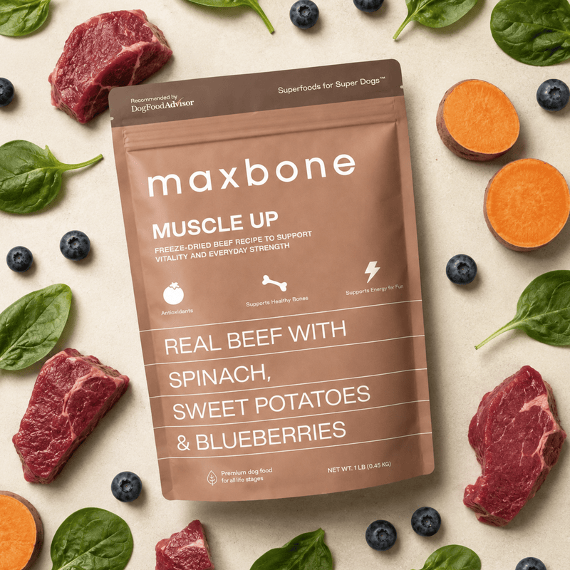 Freeze-dried Raw Beef Recipe - maxbone