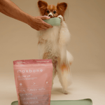 Freeze-dried Raw Turkey Recipe - maxbone
