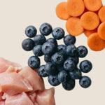 Freeze-dried Raw Turkey Recipe - maxbone