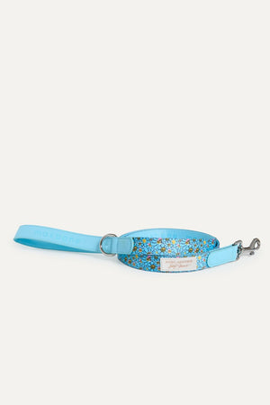 Leashes, Harnesses & Collars – maxbone