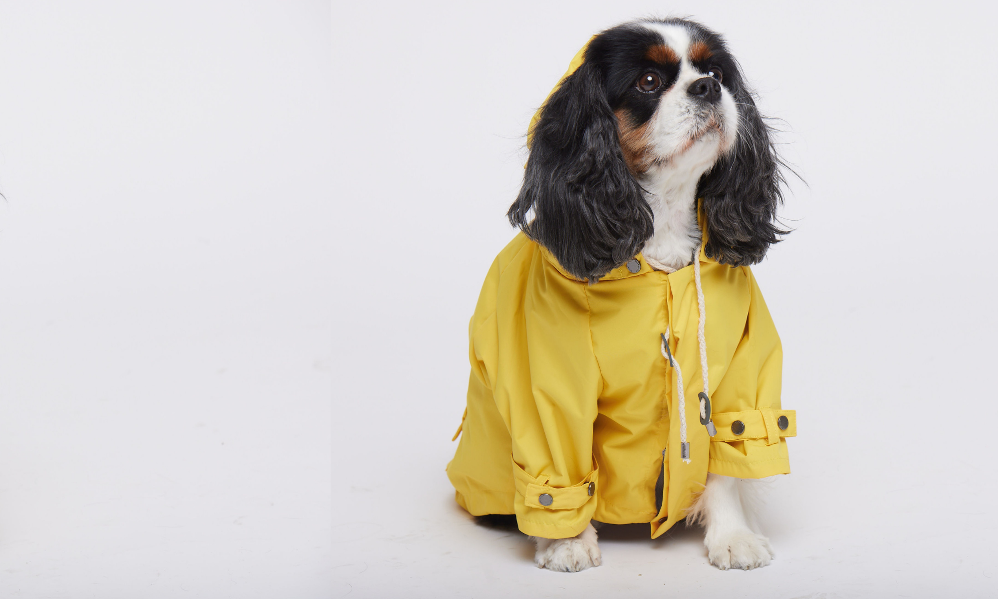 Raincoat maxbone