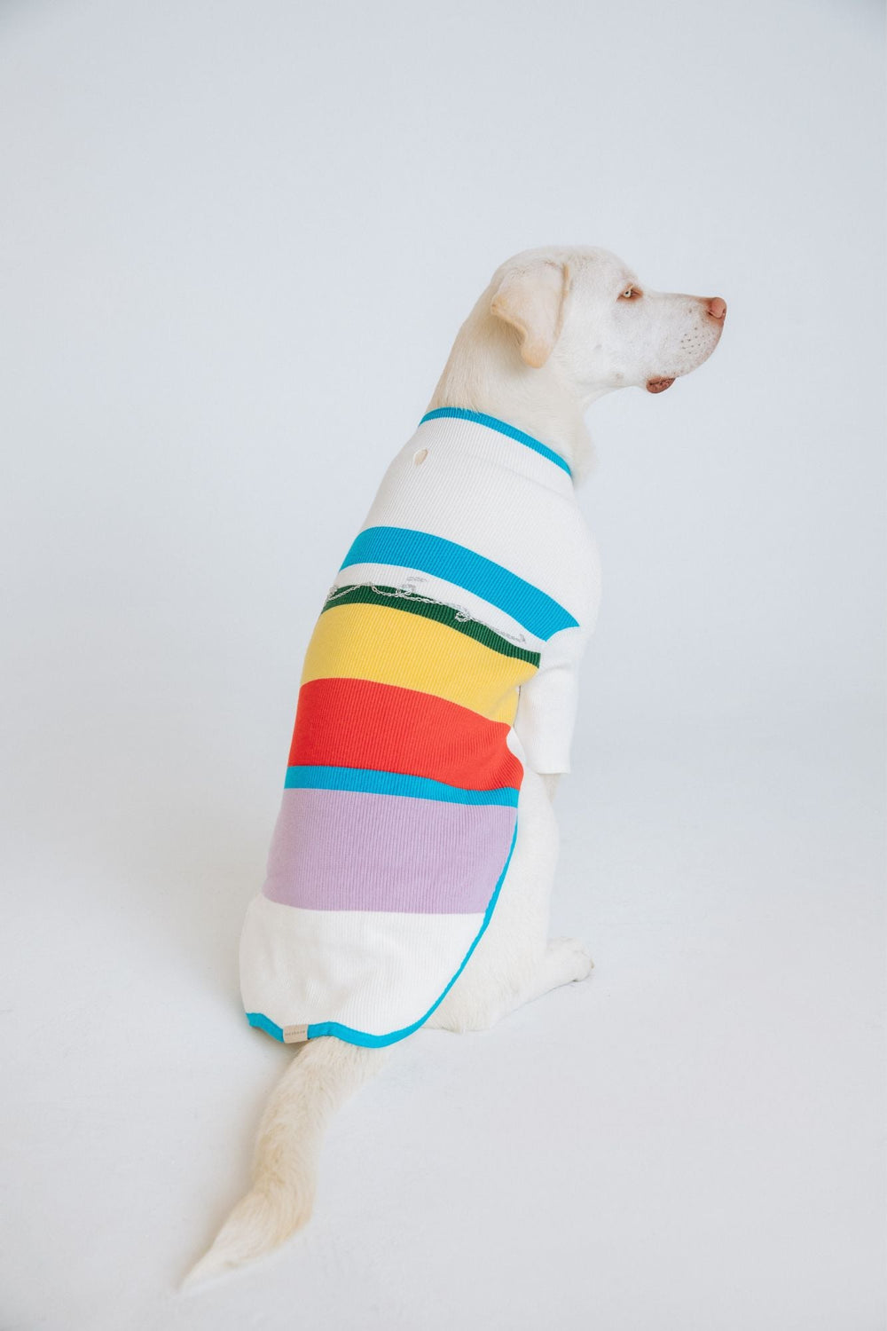 maxbone for Anthropologie Après Jumper - maxbone