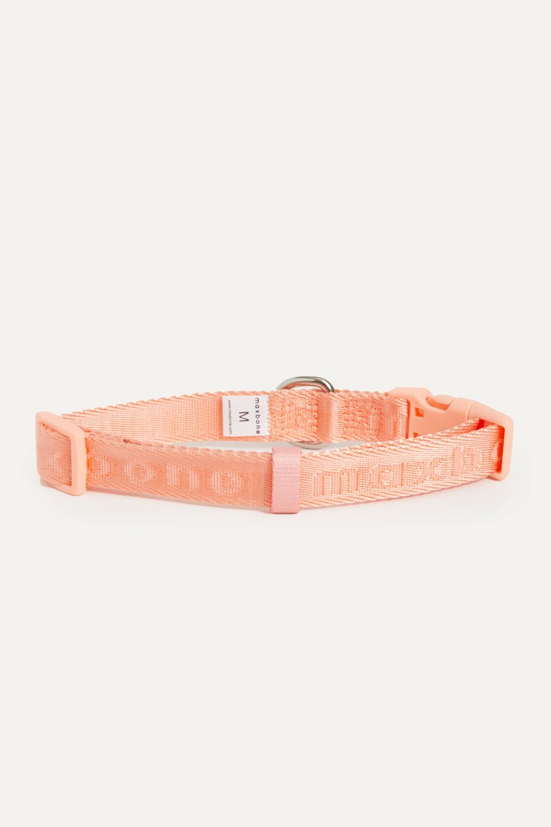 Signature Collar - maxbone
