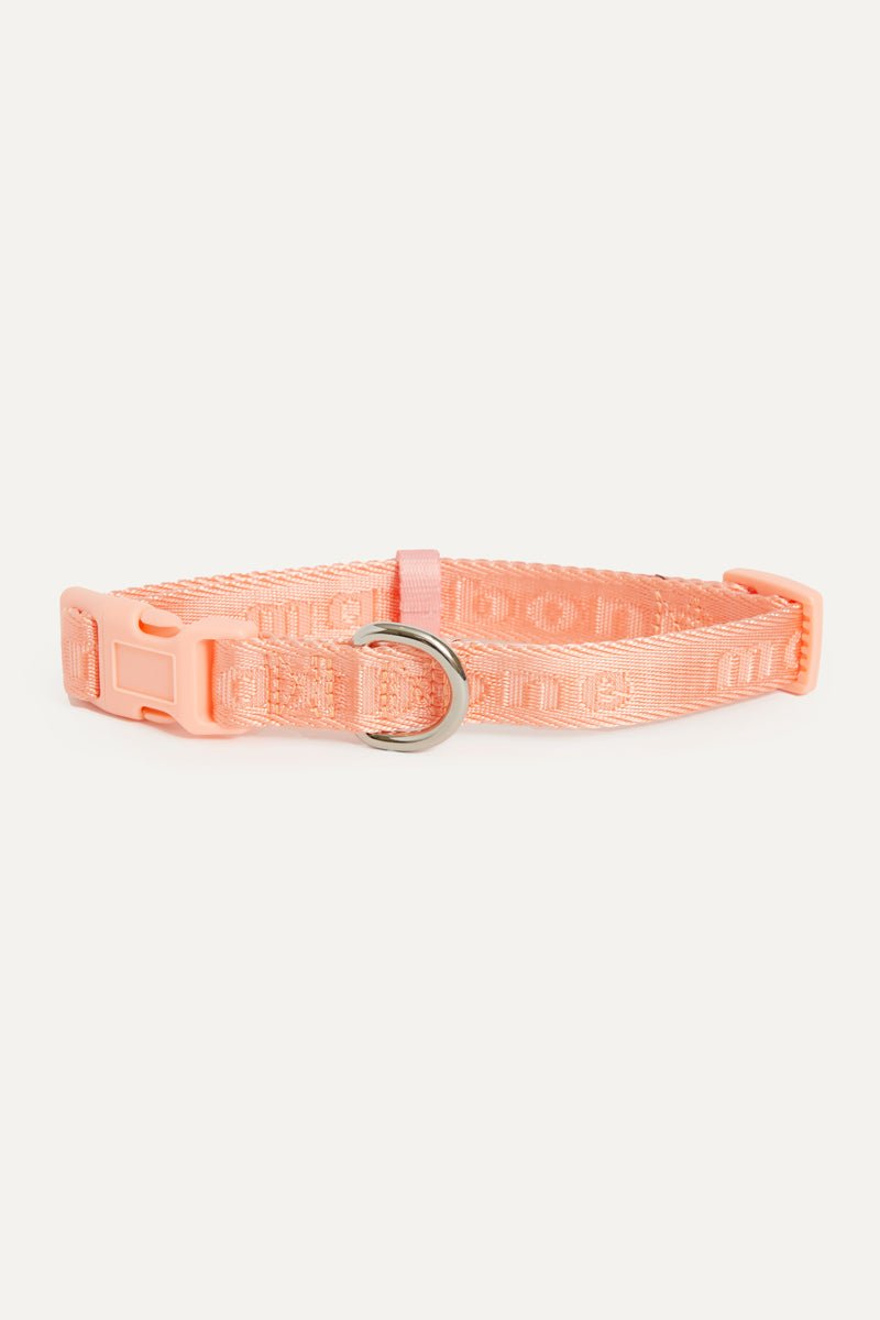 Signature Collar - maxbone