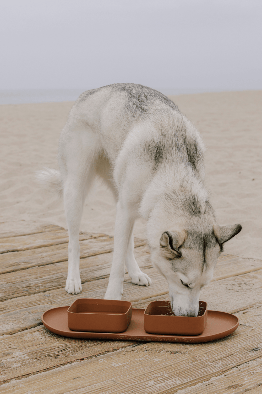 Square bowls & mat set - maxbone