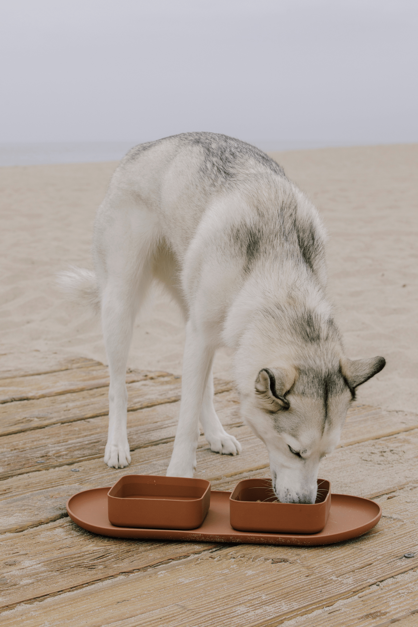 Square bowls & mat set - maxbone