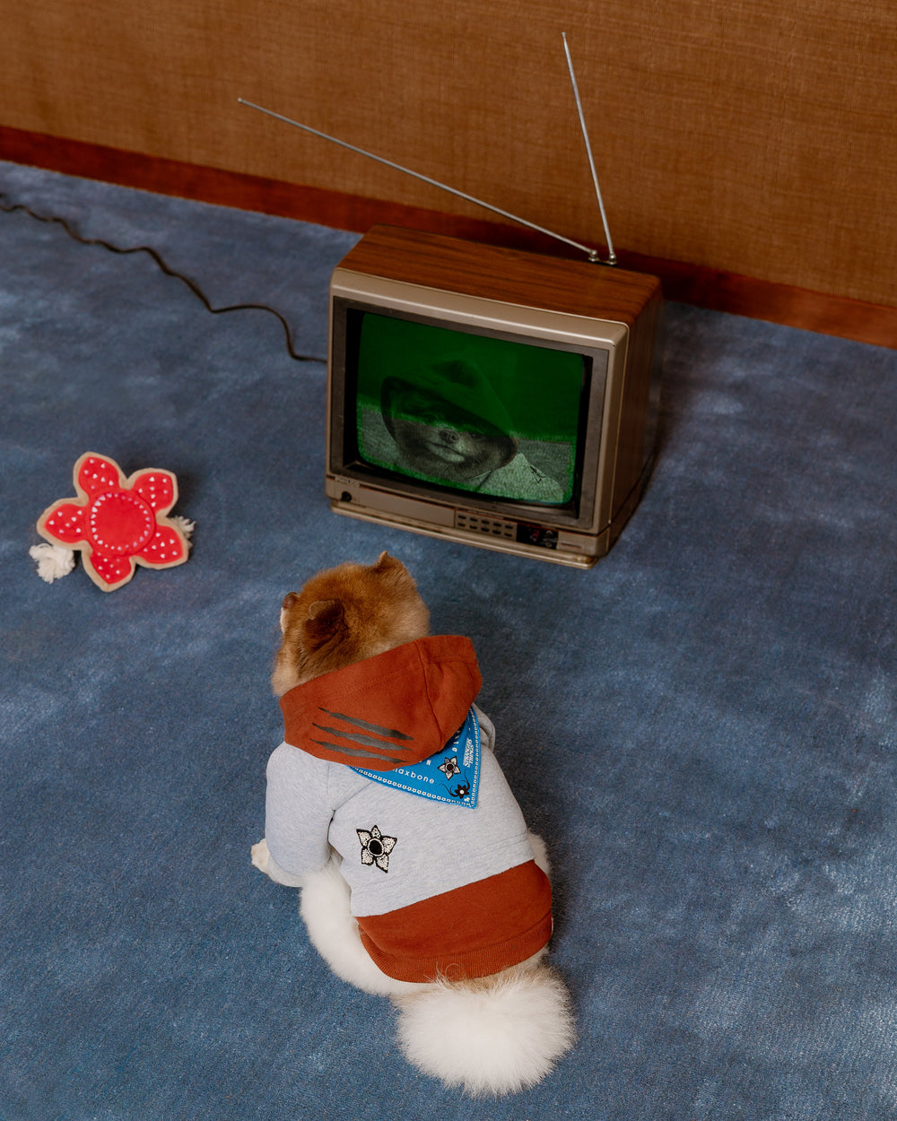 Stranger Things x maxbone Demogorgon Plush Toy - maxbone