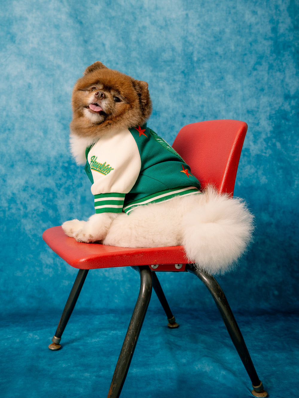 Stranger Things x maxbone Hawkins High Bomber - maxbone