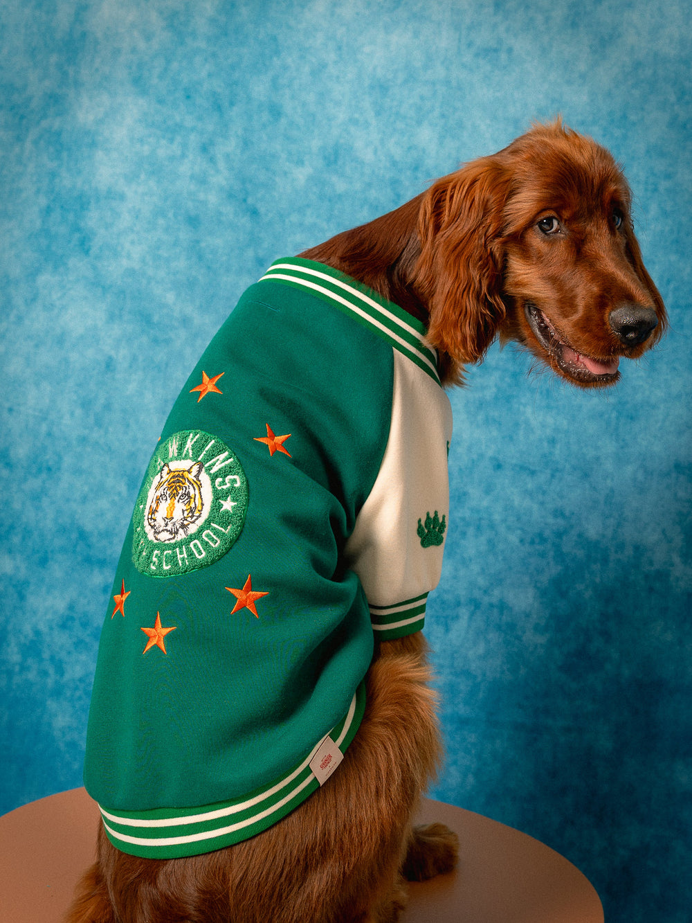 Stranger Things x maxbone Hawkins High Bomber - maxbone