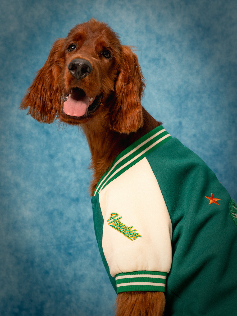 Stranger Things x maxbone Hawkins High Bomber - maxbone