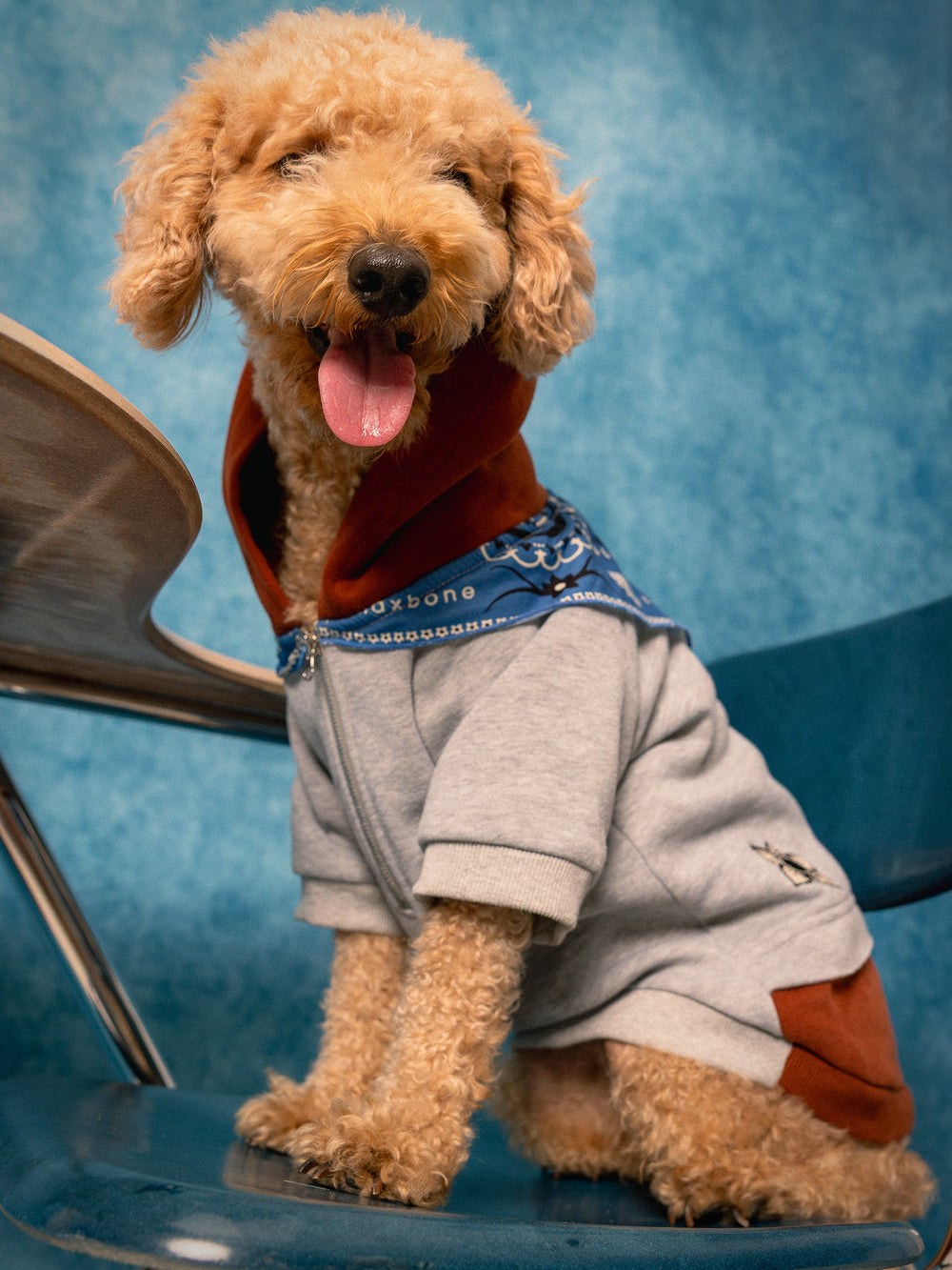 Stranger Things x maxbone Signature Hoodie - maxbone