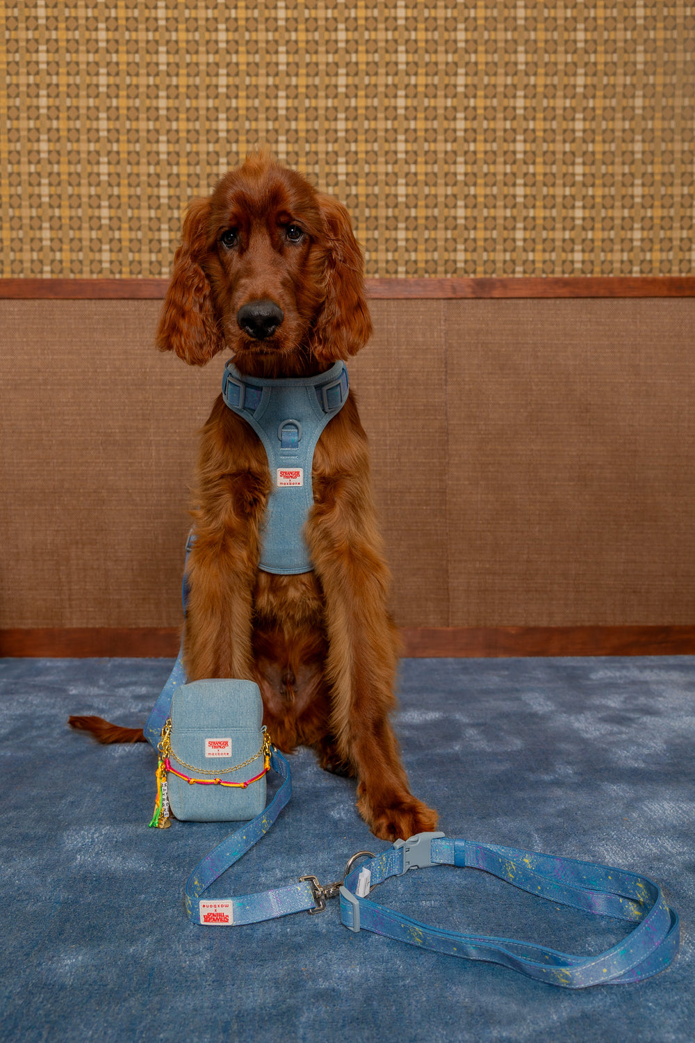 Stranger Things x maxbone Walk Set - maxbone