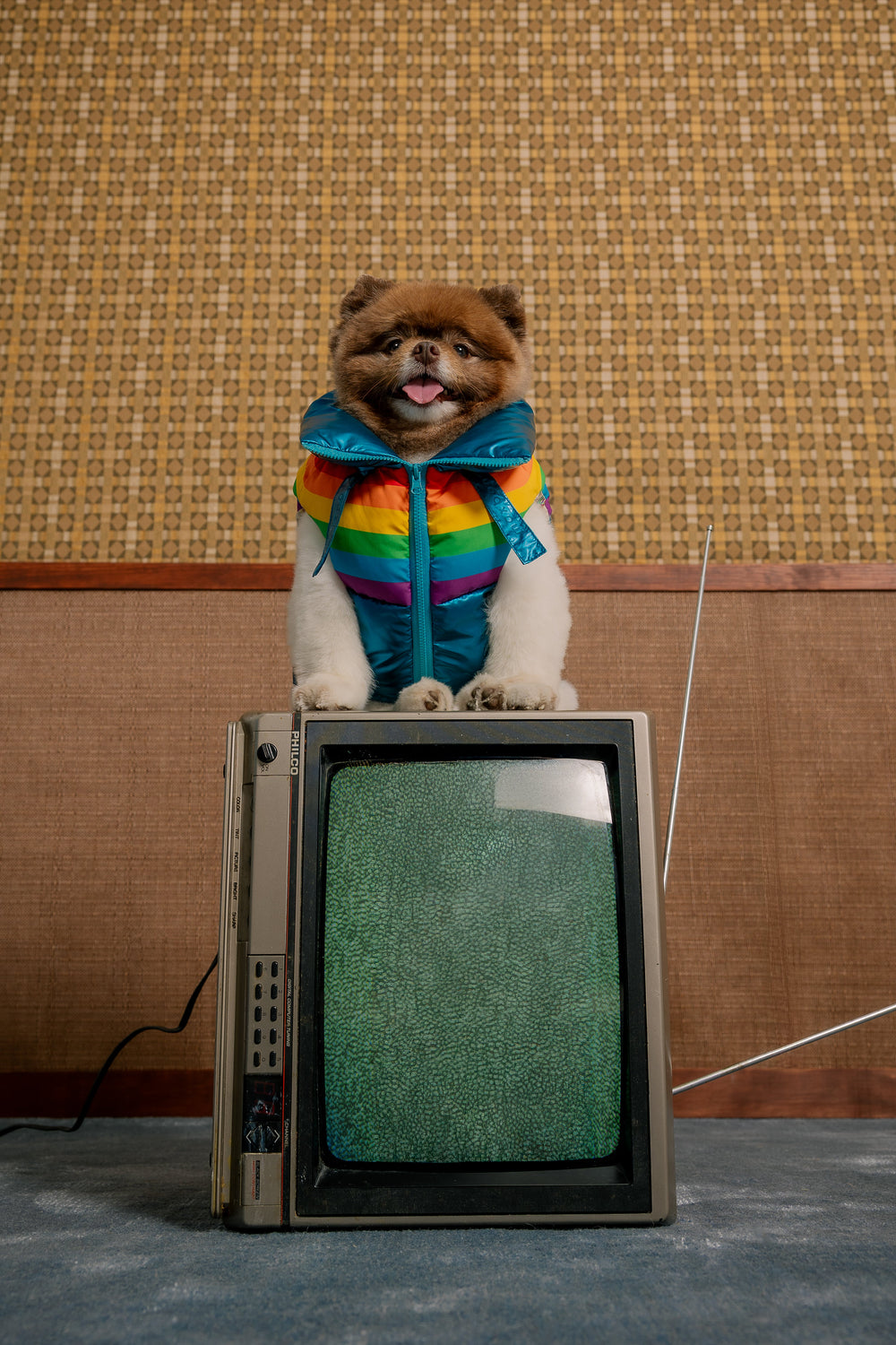 Stranger Things x maxbone WSQK Puffer Vest - maxbone