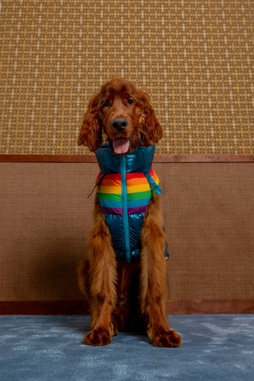 Stranger Things x maxbone WSQK Puffer Vest - maxbone