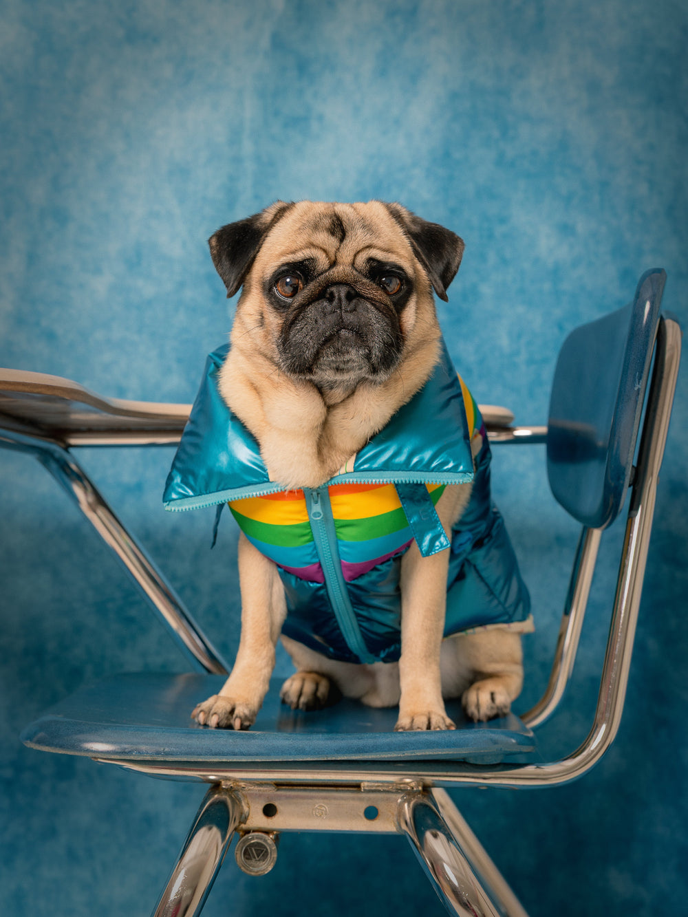 Stranger Things x maxbone WSQK Puffer Vest - maxbone