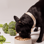 Beef Meal - maxbone