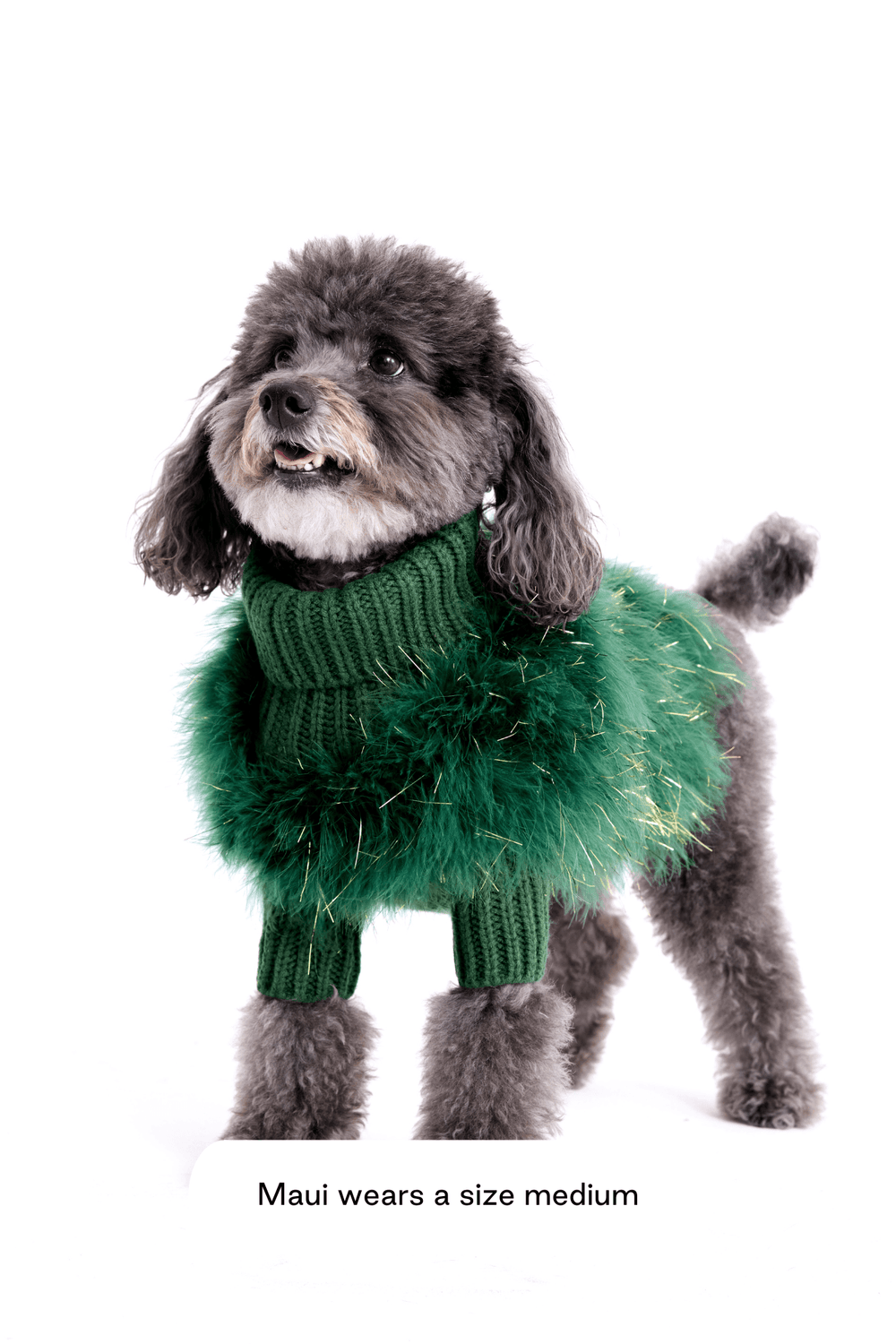 Christian Cowan Holiday Glitz Jumper – maxbone Christian Cowan Holiday Glitz Jumper – maxbone