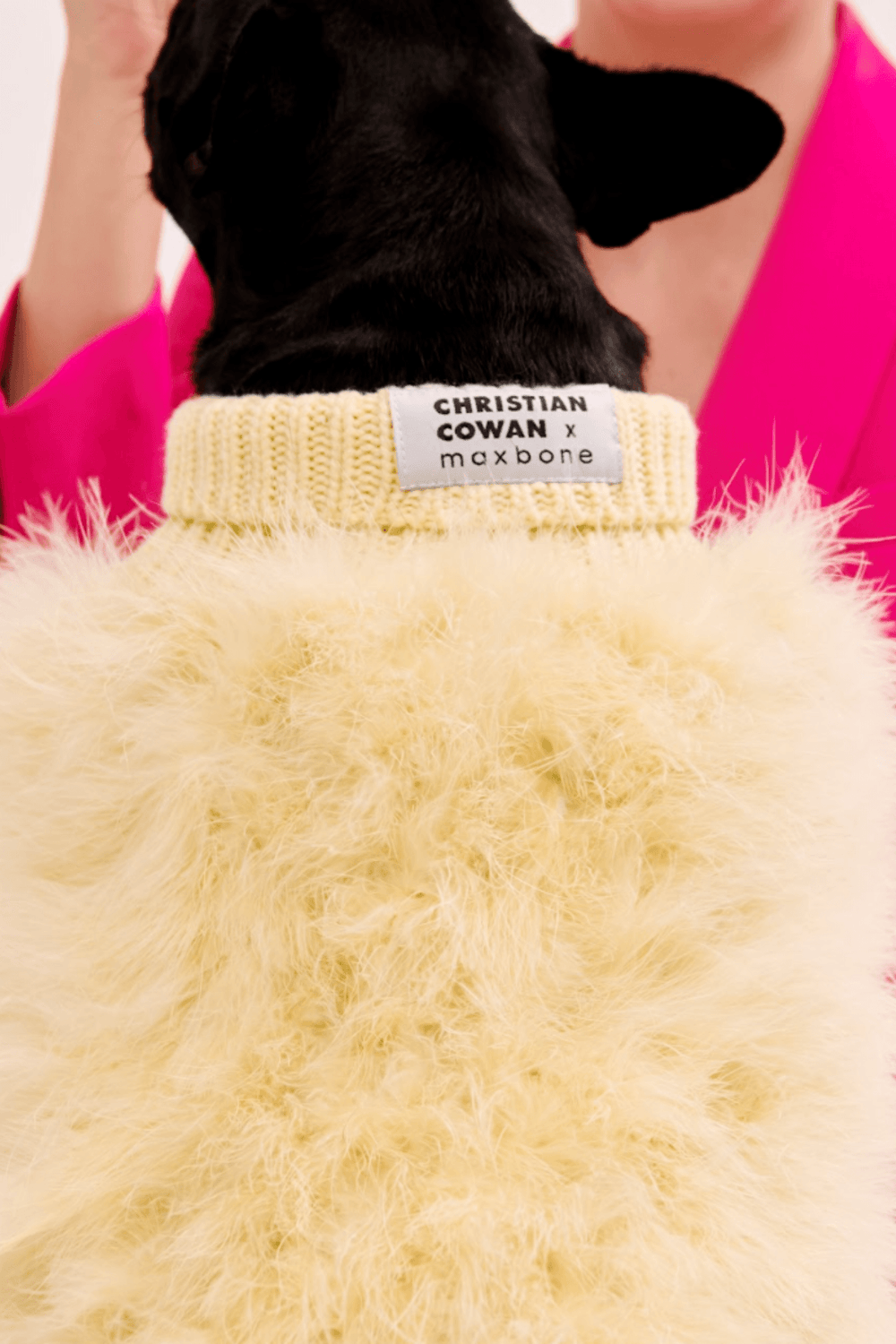 Dog Knit Feather Christian Cowan and maxbone Jumper | maxbone