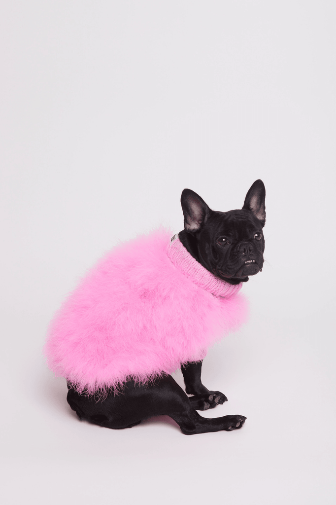 Dog Knit Feather Christian Cowan and maxbone Jumper | maxbone