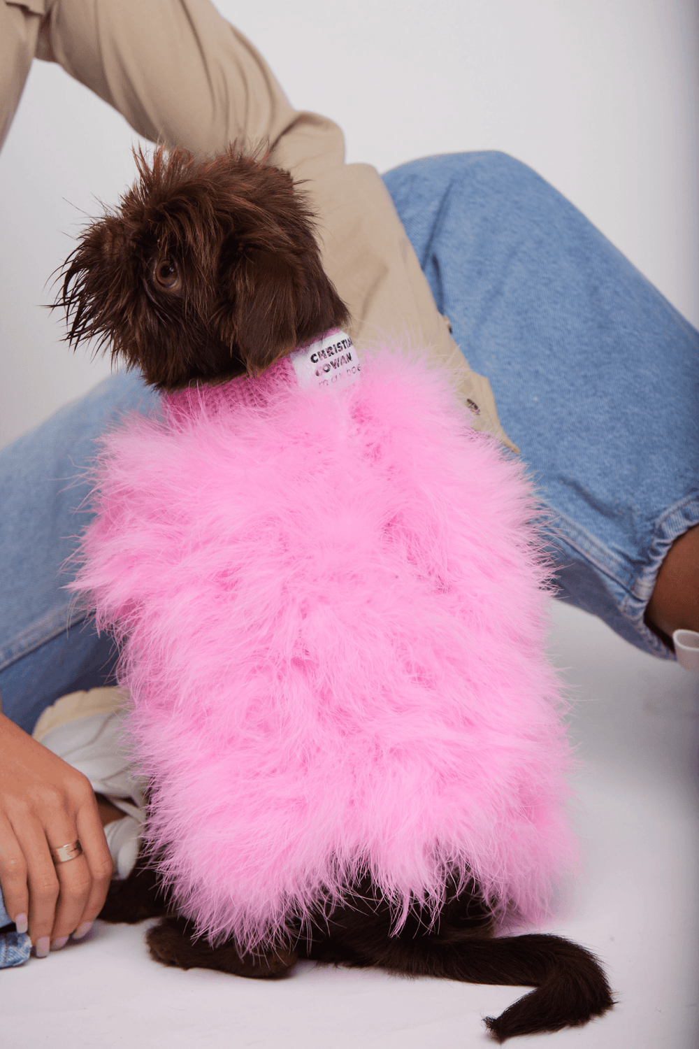 Designer Yorkie Clothes: 10 Luxury Picks For Your Pet -Yorkies Gram