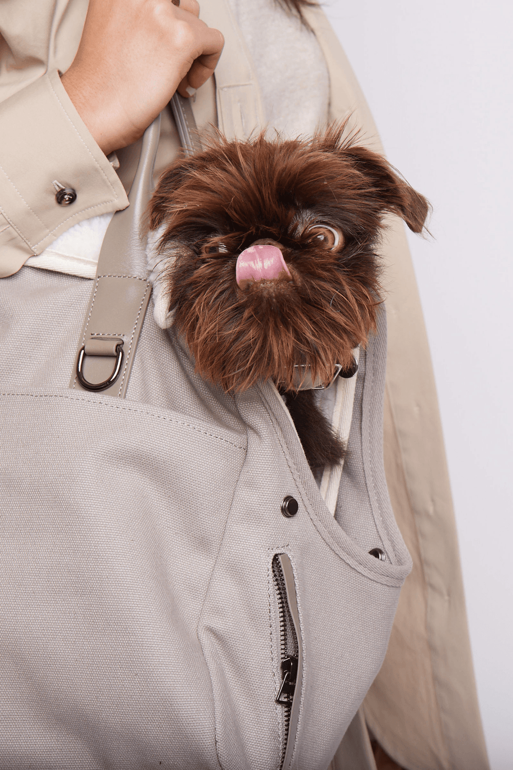 maxbone City Carrier Dog Bag - Grey One-Size