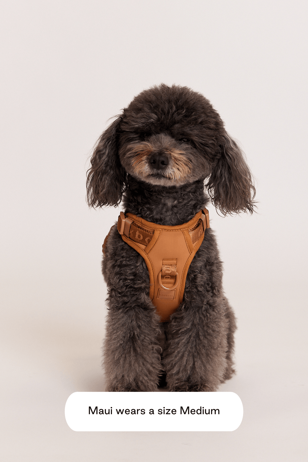 首輪・ハーネス・リード max bone Isabel Leash S/M max-bone 首輪・ハーネス・リード max bone Isabel Leash S/M max-bone