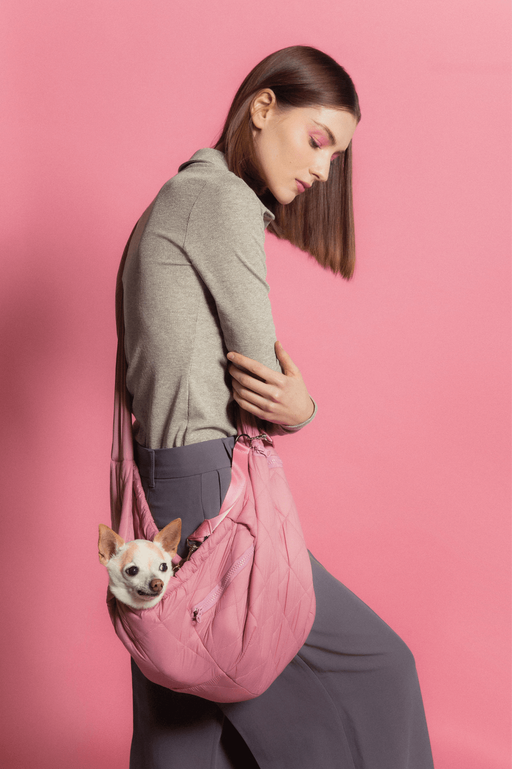 Pet harness shop carrier