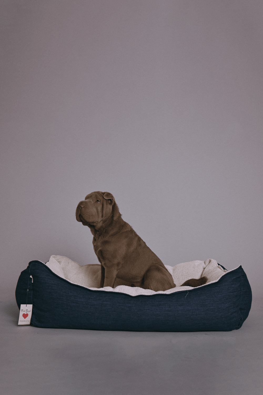Fred Segal x maxbone bed - maxbone