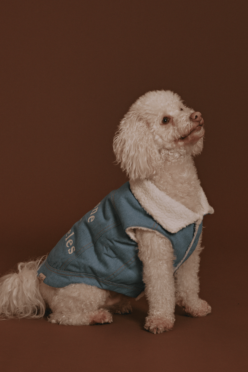 Fred Segal x maxbone Denim Jacket - maxbone