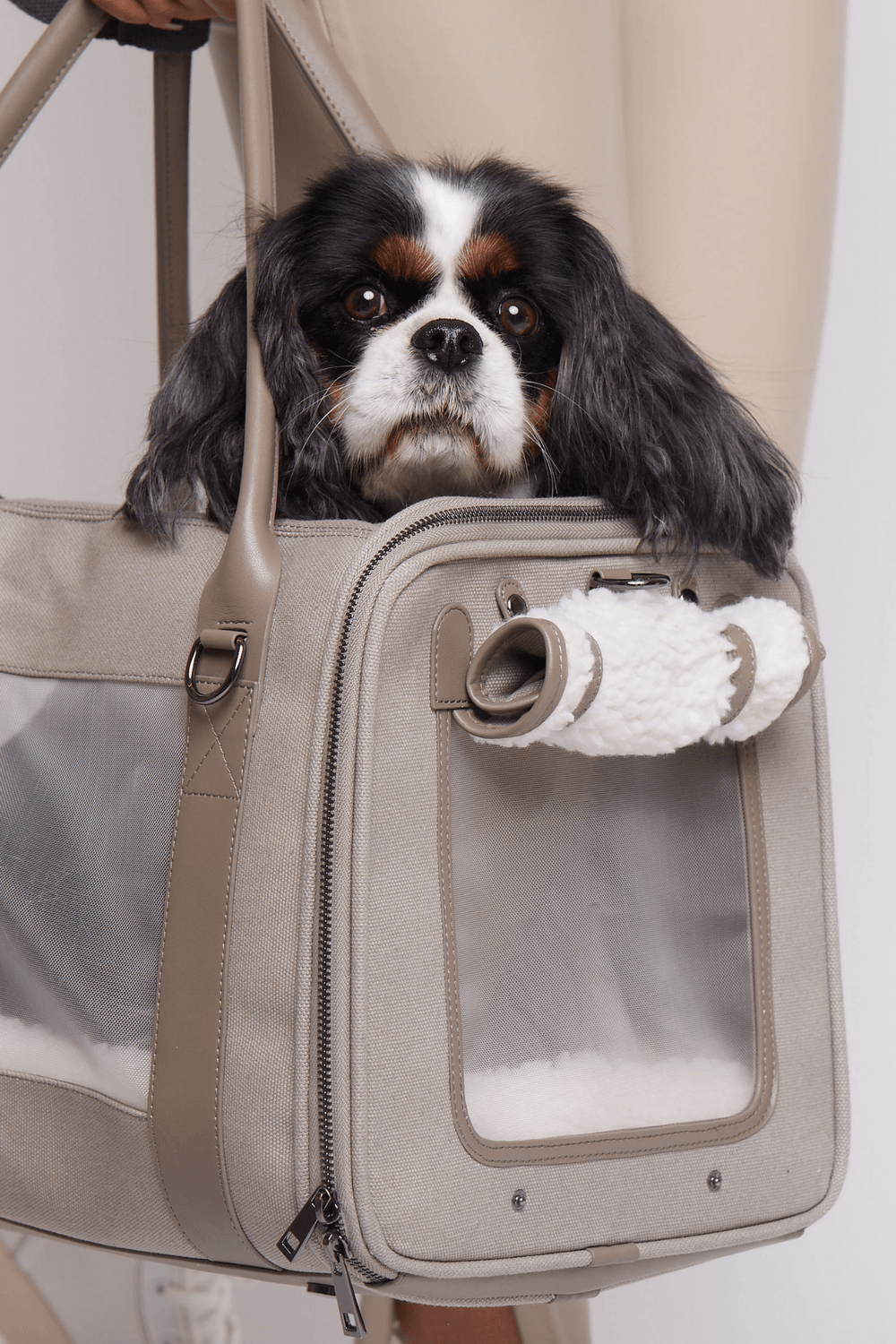  BETOP HOUSE Fashion Dog Carrier PU Leather Dog